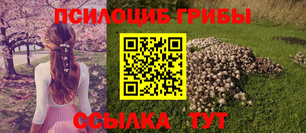 Галлюциногенные грибы MAGIC MUSHROOMS  Вход с VPN  Псилоцибиновые грибы мицелий  Новороссийск 