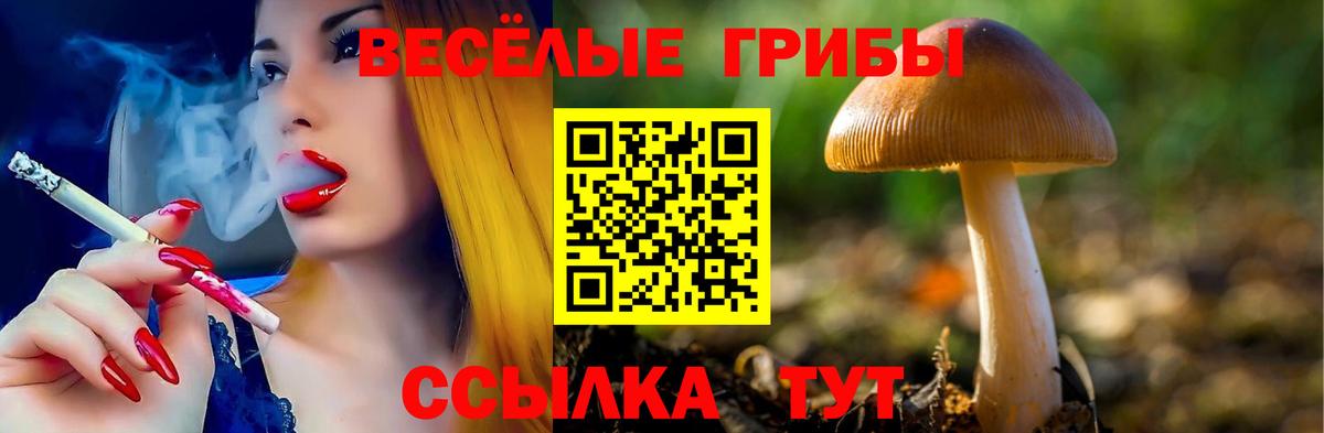 Псилоцибиновые грибы MAGIC MUSHROOMS Новороссийск